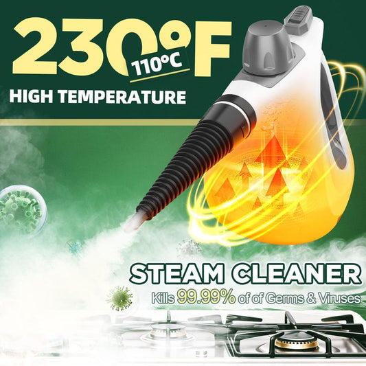 Handheld multi-functional natural steam cleaner